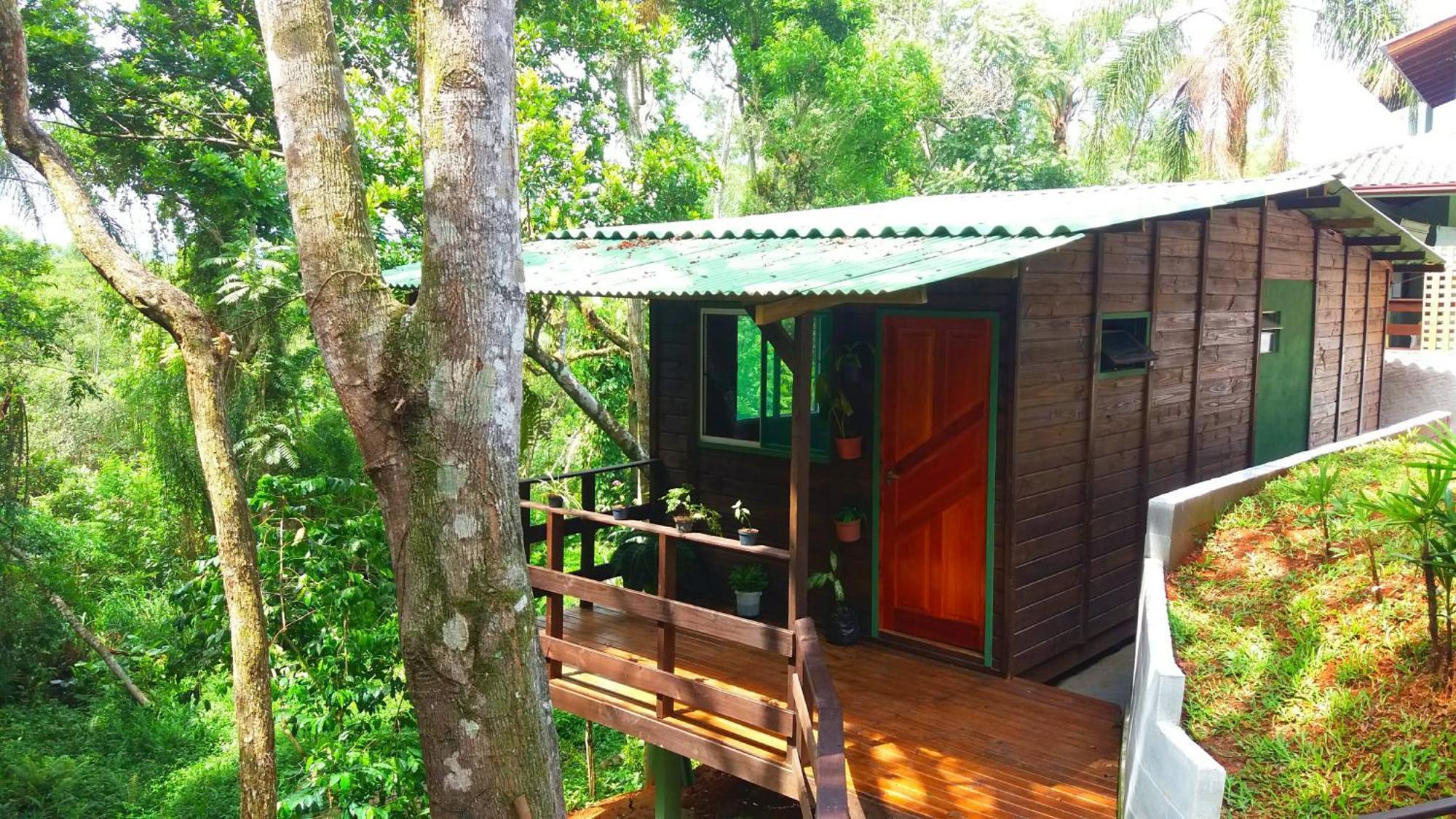Pousada Hang Conectada Com A Natureza フロリアノポリス 部屋 写真